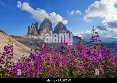 Italy, Sexten Dolomites, Tre Cime di Lavaredo, Nature Park Tre Cime, Unesco World Heritage Natural Site Stock Photo