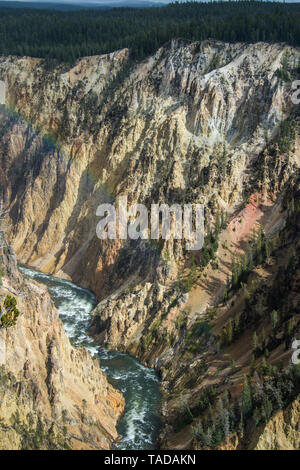 USA, Wyoming, Yellowstone National Park, colourful Grand canyon of the Yellowstone Stock Photo