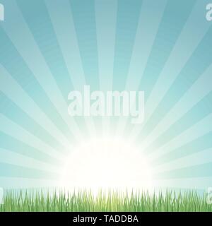 Sunrise in the garden. Backgroundwith rising sun and lawn vector illustration Stock Vector