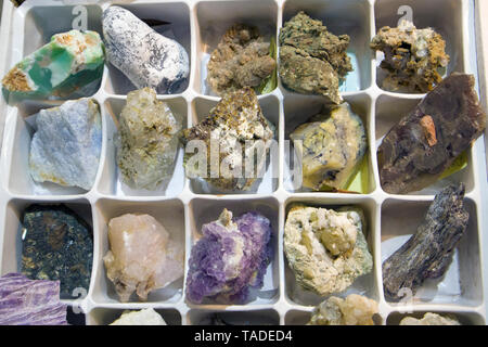 Raw fragments of different precious and semiprecious stones and gems arranged in special box Stock Photo