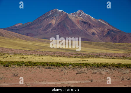 Miniques and Miscanti lagoons track in Atacama highlands Stock Photo