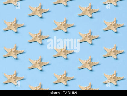 Yellow starfish pattern on pastel blue background. Summer concept. Stock Photo