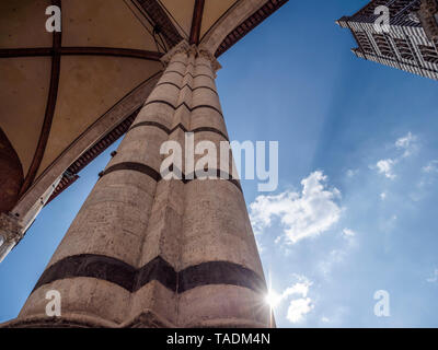Italy, Tuscany, Siena, Siena Cathedral, tower and column against the sun, low angle view