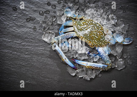 Seafood crab on ice / Fresh raw Blue Swimming Crab ocean gourmet with ice on dark background in the restaurant Stock Photo