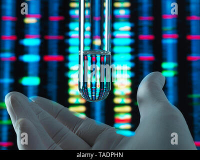 Genetic Research, DNA profile reflected in a test tube containing a sample Stock Photo