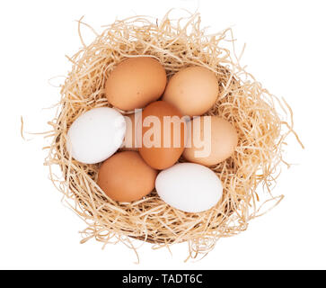 Assorted chicken, hens eggs in one basket isolated on white. Different colors: brown white and speckled. Stock Photo