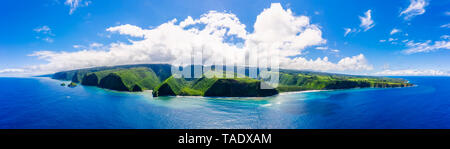 USA, Hawaii, Big Island, Pacific Ocean, Pololu Valley Lookout, Kohala Forest Reserve, Akoakoa Point, Aerial View Stock Photo