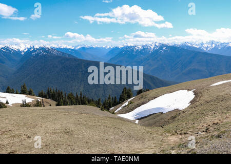 Hurricane Ridge, Olympic National Park, Washington Stock Photo