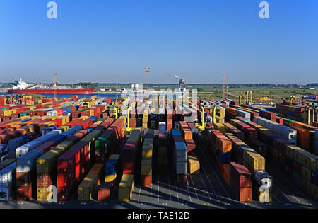 port of antwerp, belgium - 2019.05.16:  mpet container terminal at deurganckdok, background: self discharging bulk carrier yeoman bontrup unloading at Stock Photo