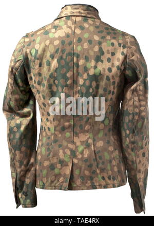 A camouflage field tunic of the Waffen-SS M 44 early production series in smooth material Captureded sand-coloured Italian cloth, one side imprinted in pea pattern camouflage with sand-coloured painted glass buttons, without loops for shoulder boards. Unlined, the reinforcement and loops for the belt carry hooks (two belt holes) of sand-coloured cotton material, the pocket reinforcements of herringbone imprinted in pea pattern camouflage, the shoulder area with SS-BW and size stampings. Unused, with light storage marks. Rarer than the later drill cloth issue. historic, hist, Editorial-Use-Only Stock Photo