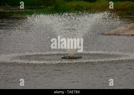 Fountain in dam at Spier Estate, Stellenbosch, Cape Winelands, South Africa. Stock Photo