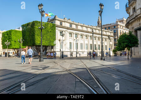 Tram tracks in the Plaza de San Franciso, Seville, Andalusia region, Spain Stock Photo