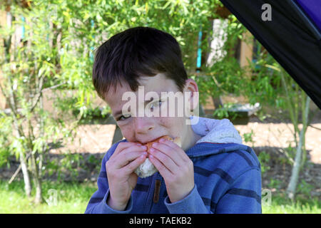 Brown haired, 7 year old boy with freckles eating a bacon sandwich in stripey blue top during daytime MR Stock Photo