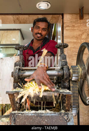 Vertical portrait of a man using a mangle to extract sugarcane juice in India. Stock Photo