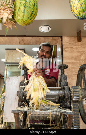 Vertical portrait of a man using a mangle to extract sugarcane juice in India. Stock Photo