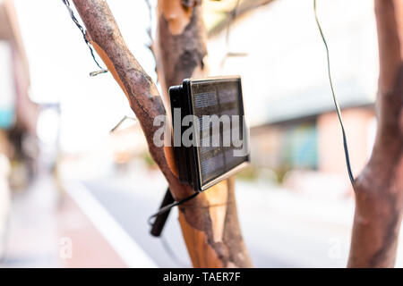 Tree with solar panel in Takayama, Japan in Gifu prefecture on street sidewalk with bokeh background closeup Stock Photo