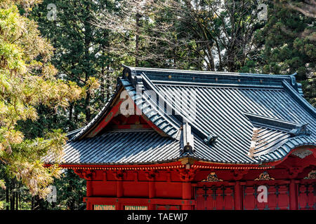 Nikko, Japan in Tochigi prefecture in Japan with nobody in green pine forest and red shrine with traditional roof Stock Photo