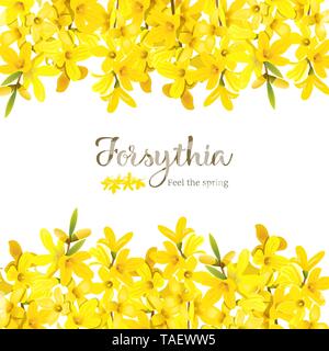 Forsythia suspensa, fluffy blossoming yellow spring tree card template. Golden Bell, flowers frame top and bottom. Vector illustration. garden decor f Stock Vector