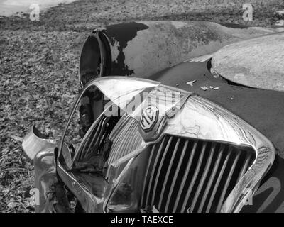Abandoned 1962 MGA in a New Jersey gas station back yard. Neglected collectible waiting for the scrap yard. Stock Photo