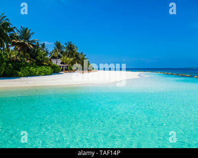 Maledives, Ross Atoll, beach bar and sandy beach with palms Stock Photo