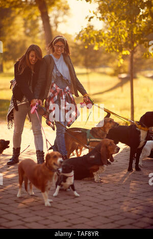 Happy girls dog walker with dogs enjoying in funny walking outdoors. Stock Photo