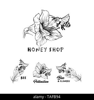 Honey shop hand drawn logo vector illustration set. Bee and flowers ink lettering. Amaryllis sketch drawing. Pollination creative calligraphy. Packaging, sticker concept. Isolated design elements Stock Vector