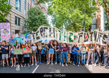 London, UK. 24th May, 2019. School children and young people go on strke once more to demand action on climate change and how it will effect their futures. They gather in Parliament Square and then march round Westminster, stopping at the Dept For Education, Downing Street and Trafalgar Square. Credit: Guy Bell/Alamy Live News Stock Photo