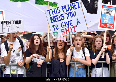 London, UK. 25th May2019. Crowds of schoolchildren surround College Green, Westminster to make their views heard to the world's media during the Fridays For Future climate strike, London Credit: PjrFoto/Alamy Live News Stock Photo