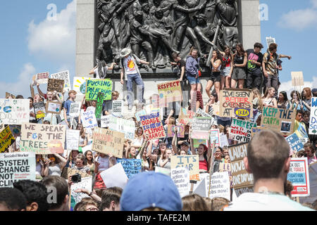 Westminster, London, UK - 24th May 2019. Fridays for Future youth strike. The young protesters on Trafalgar Square with placards. Thousands of young people, some with their parents, once again take to the streets of Westminster to protest against the impact of climate change and environmental problems, as well as inactivity of governments. Protest sites include Parliament Square, Whitehall and Trafalgar Square in London, and many other cities in the UK and globally. Credit: Imageplotter/Alamy Live News Stock Photo