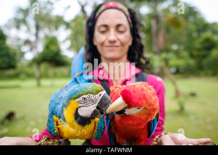 Tourist woman smiling when holding a couple of colorful macaws at an animal shelter on the riverbank of the Amazon River near Iquitos, Peru Stock Photo