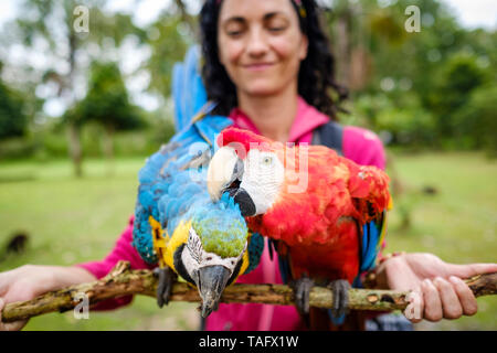 Tourist woman smiling when holding a couple of colorful macaws at an animal shelter on the riverbank of the Amazon River near Iquitos, Peru Stock Photo