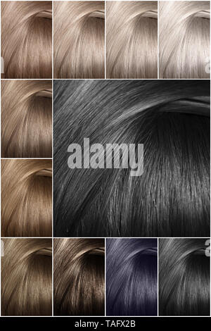 Hair Color Palette With A Wide Range Of Samples Samples Of