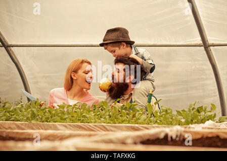 seed germinating. seed germinating concept. happy family watch on seed germinating. seed germinating or planting in greenhouse. paying attention to ev Stock Photo