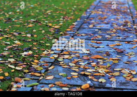 Autumn - dead leaves covering a garden in fall Stock Photo