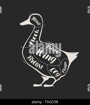 Diagram guide for cutting duck meat drawn on the blackboard. Menu for restaurant or butcher shop Stock Vector