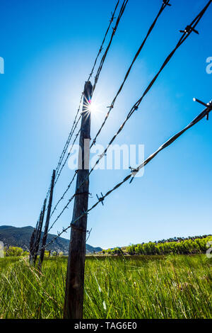 Close-up of barbed wire fence & wooden fence posts against clear blue sky; ranch in Central Colorado; USA Stock Photo