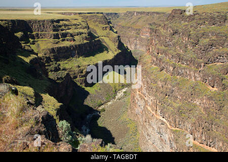 Bruneau River canyon from Bruneau River Overlook, Boise District Bureau of Land Management, Idaho Stock Photo