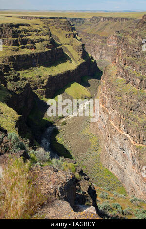 Bruneau River canyon from Bruneau River Overlook, Boise District Bureau of Land Management, Idaho Stock Photo