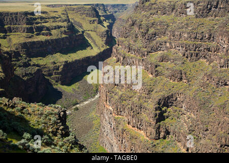 Bruneau River canyon from Bruneau River Overlook, Boise District Bureau of Land Management, Idaho Stock Photo