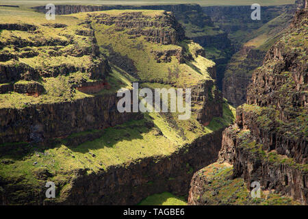 Bruneau River canyon from Bruneau River Overlook, Boise District Bureau of Land Management, Idaho Stock Photo