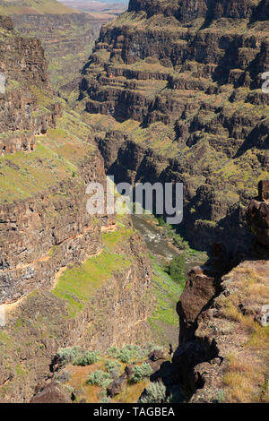 Bruneau River canyon from Bruneau River Overlook, Boise District Bureau of Land Management, Idaho Stock Photo