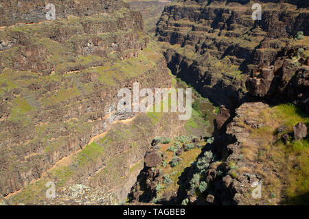 Bruneau River canyon from Bruneau River Overlook, Boise District Bureau of Land Management, Idaho Stock Photo