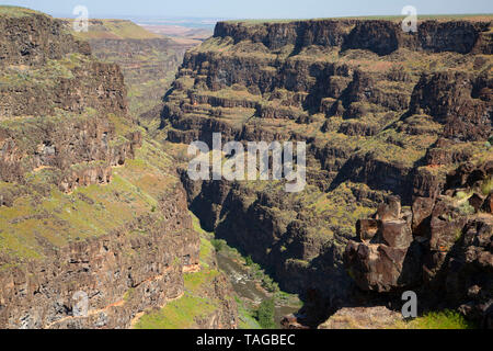 Bruneau River canyon from Bruneau River Overlook, Boise District Bureau of Land Management, Idaho Stock Photo