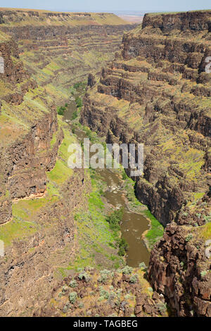 Bruneau River canyon from Bruneau River Overlook, Boise District Bureau of Land Management, Idaho Stock Photo