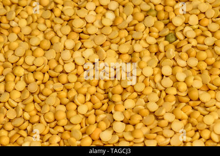 Close up pile of yellow Lentils beans texture, background pattern. Natural grains and cereals. Agricultural product concept. Seamless colorful canvas. Stock Photo