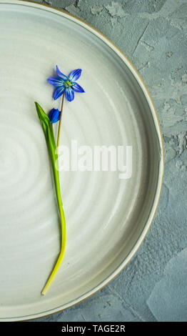 Spring table setting with blue scilla siberica flowers on concrete background with copy space Stock Photo