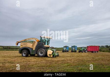 Garryvoe, Cork, Ireland. 25th May, 2019. On a grey overcast morning a combine harvester with tractors and trailers are parked overnight in a field, af Stock Photo