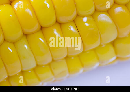 Boiled and cooked yellow sweet corn cob close up shot macro. Delicious looking. Stock Photo