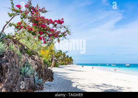 Kendwa beach in  Unguja aka Zanzibar Island Tanzania East Africa Stock Photo