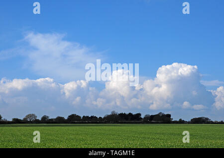 Cumulus clouds forming in Spring. Coastal Plain Stock Photo